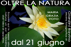 ischia mostra giugno 2013