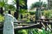 residence ischia