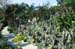 residence ischia