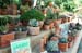 giardino Botanico