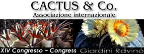 congresso_ischia