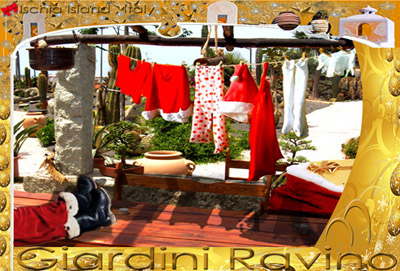 ischia natale