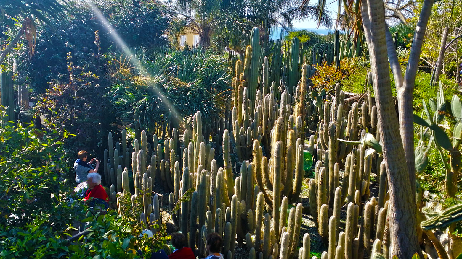 ischia, giardino, botanico, visita, guidata