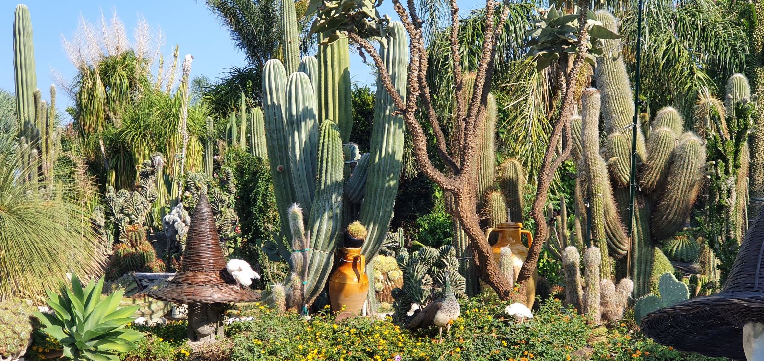 botanischer garten ravino, giardini ravino, umweltpolitik ravino, kakteen garten ravino, umweltschutz ravino