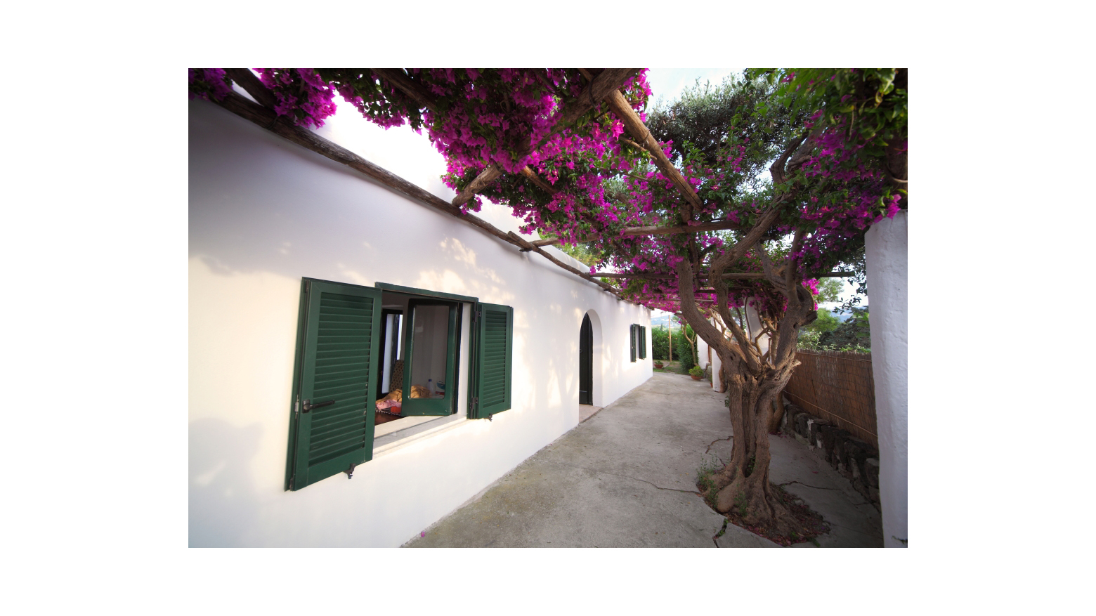 Ischia, Villa, mediterranea, mindfulness, vista, mare, terme,cucina, terrazzo, balcone
