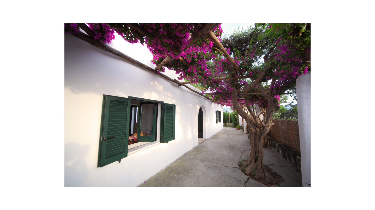 Ischia, Villa, mediterran, forio, meerblick