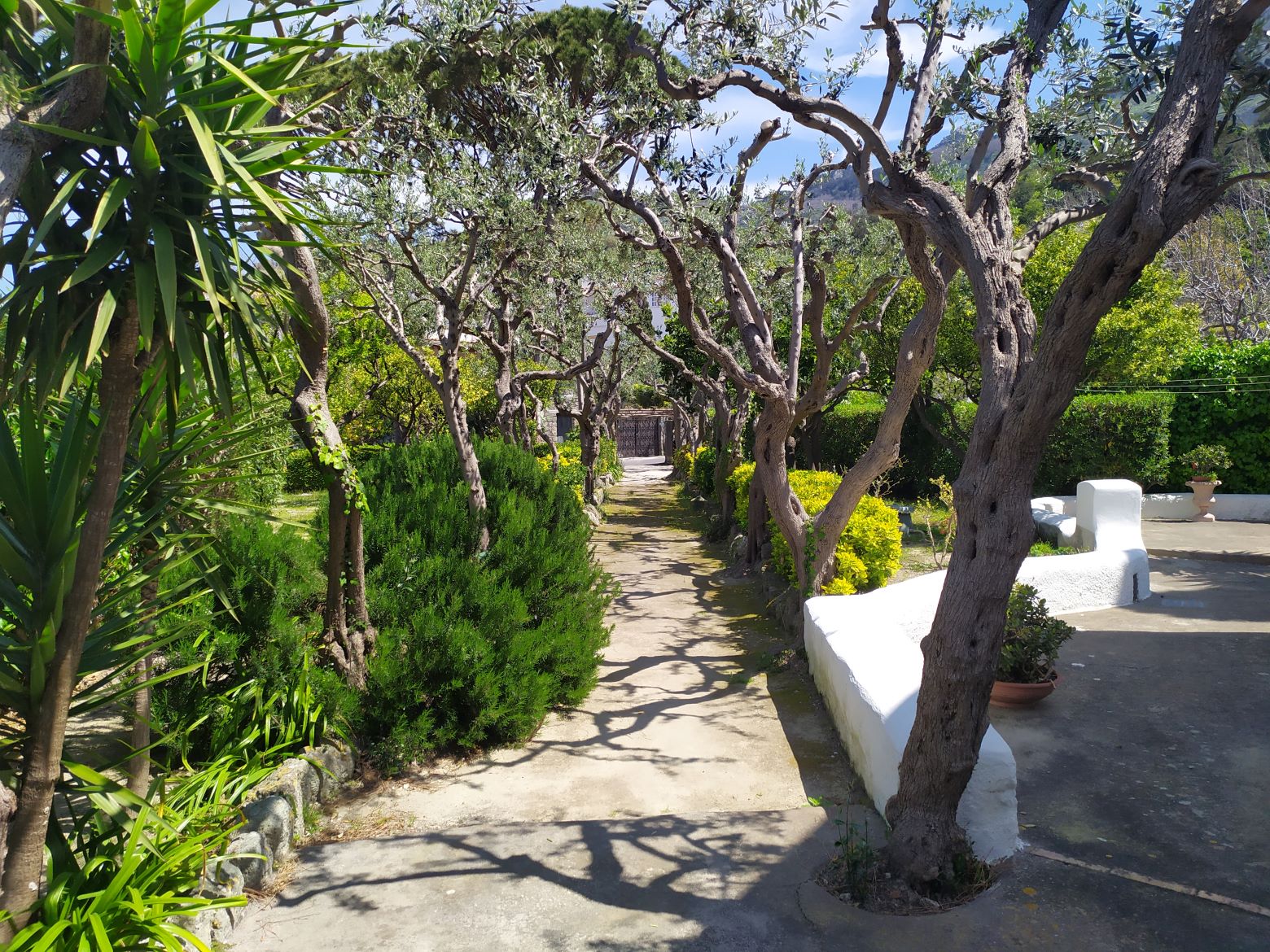 Ischia, Villa, mediterran, meerblick, park