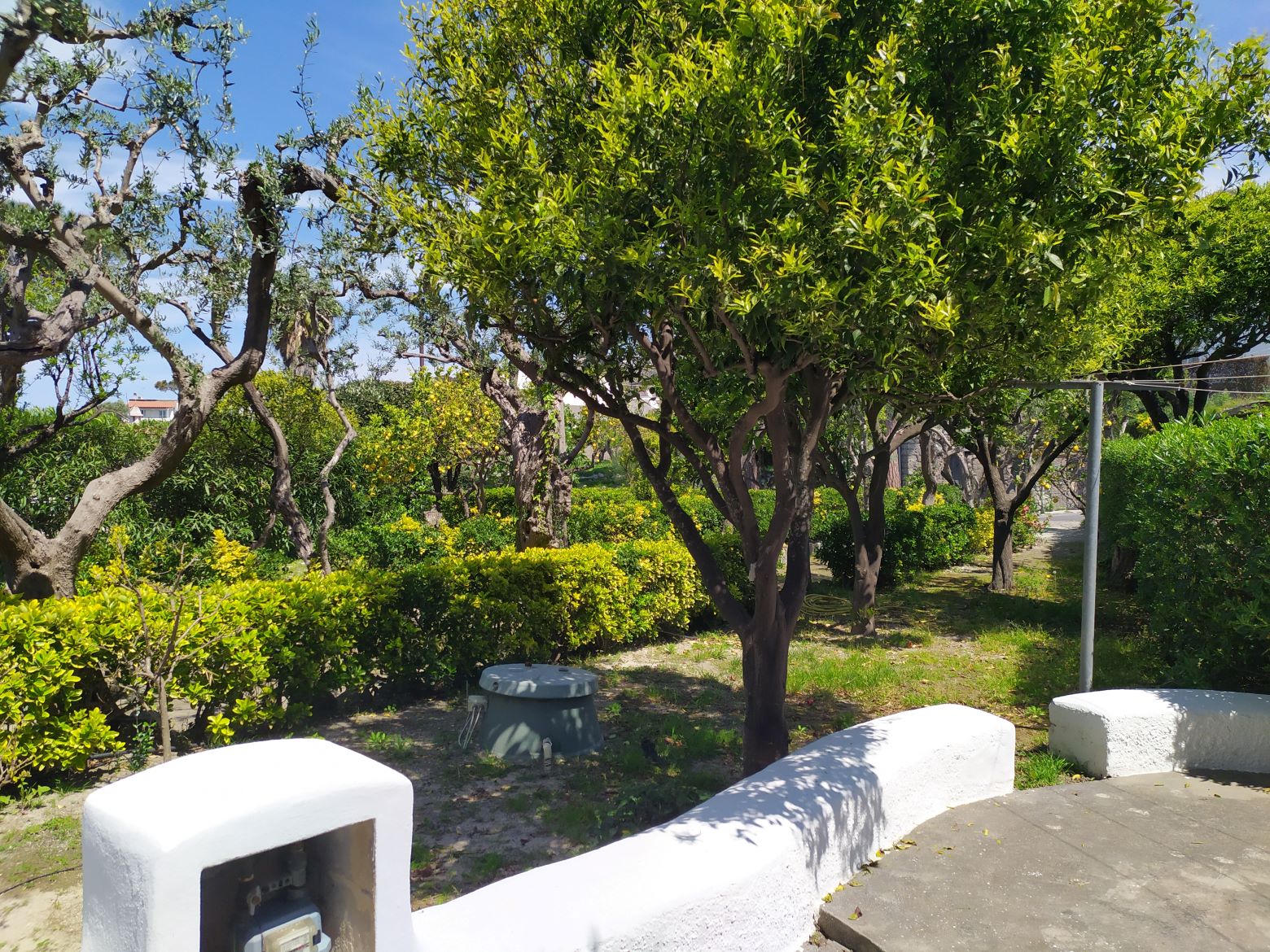 Ischia, Villa, meerblick, garten, terrasse