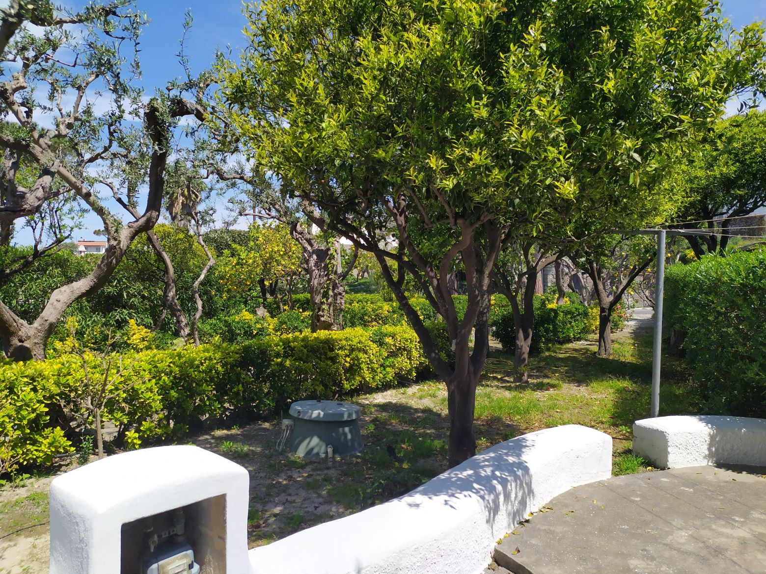 park, Apartment, balcony, seaview, Ischia, Forio, mediterranean, garden 