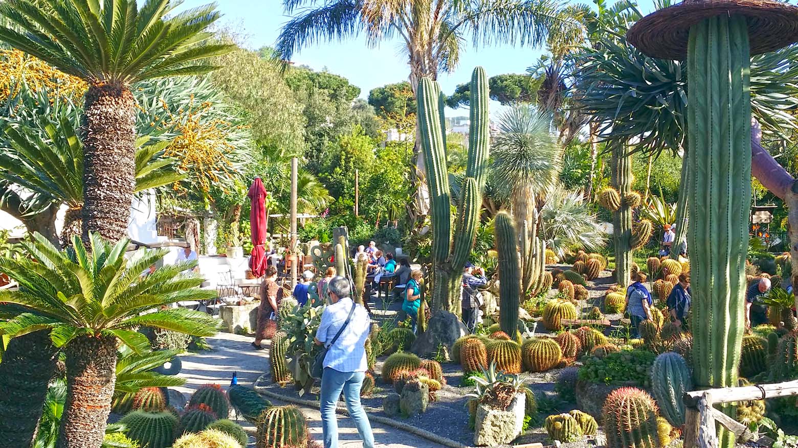 ischia, garden, botanical, BB, hotel, visit