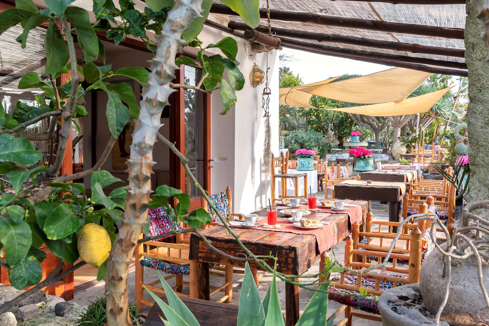 bistrot, ravino, forio, bar, fruehstuecken