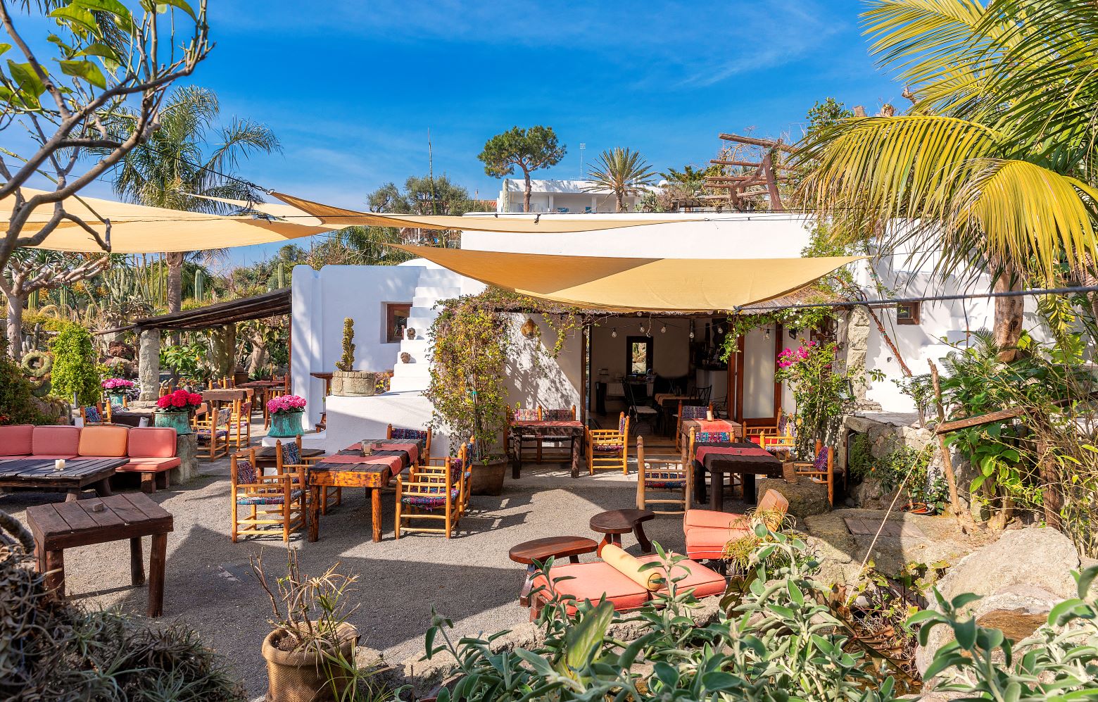 restaurant, ravino, kaktus, garten