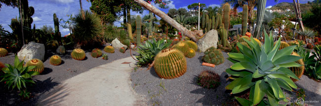 ischia